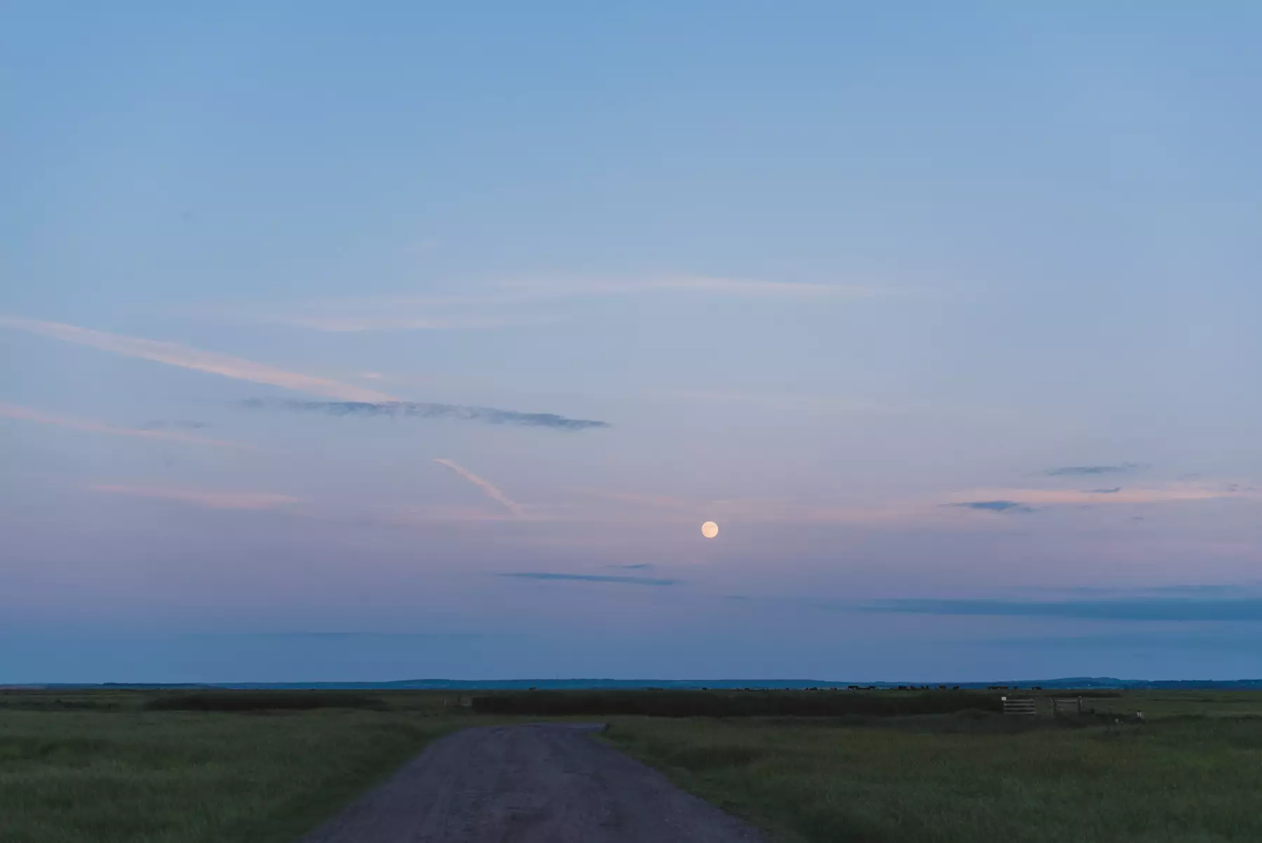 Elmley Nature Reserve